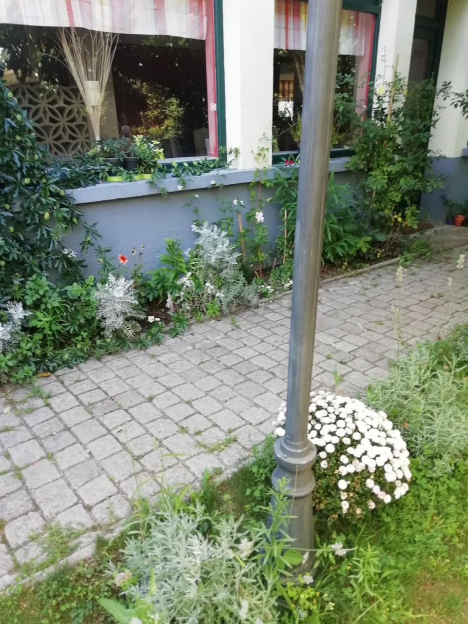 La Mirabelle-Casteil Country House Pensionat Eksteriør billede